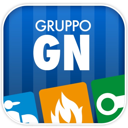 Gruppo GN Pronto Intervento