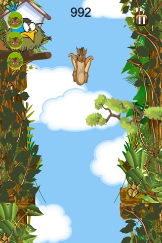 Happy Forest Free Fall FREE -  A Nuts Squirrel Dropping Simulator screenshot 3