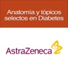 Anatomia y topicos selectos en Diabetes