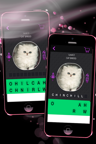 Guess It - Cat Breeds screenshot 2