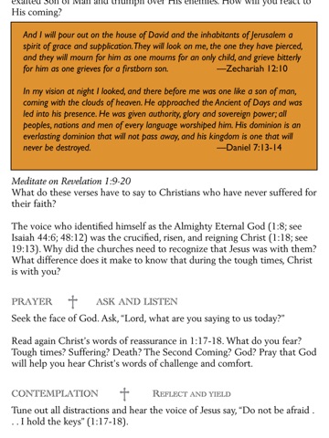 Lectio Divina for Youth and College Groups screenshot 3
