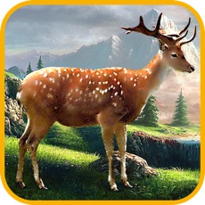 Activities of Deer Racer - Deer vs. Forest Hunter Animals