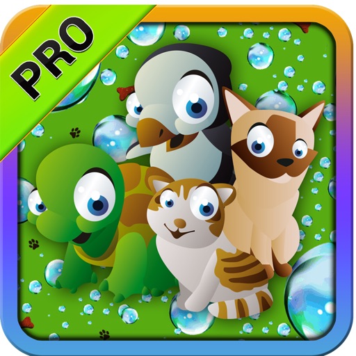 Pet Puzzle PRO Action Maze Skill Game iOS App