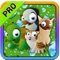 Pet Puzzle PRO Action Maze Skill Game