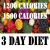 3 Day Diet and 1200 & 1500 Calories Diets