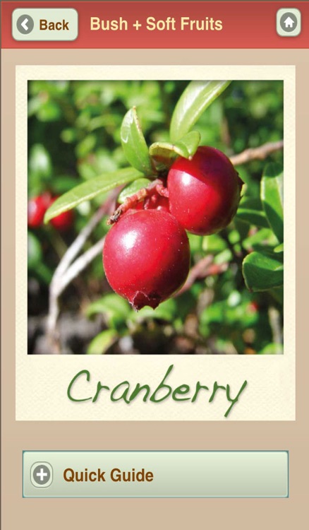 Growing Your Own Organic Fruit with Garden Organic