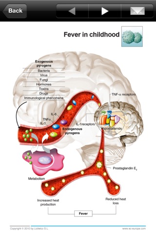 Miniatlas Pediatrics screenshot 4