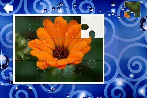 Puzzle Flowers Free screenshot 2