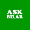 Ask Bilar