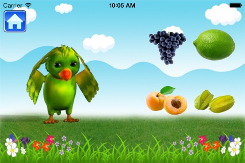 Teaching Parrot screenshot 4