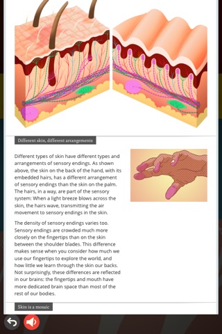 Touch: The Neuroscience Of Our Senses screenshot 4