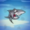 Splashy Shark – Max Fish Plague