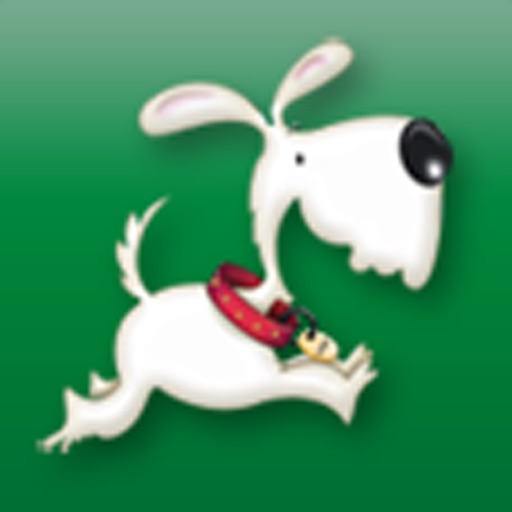 Kennel Club Puppy Buying Guide by Fetch Digital Ltd