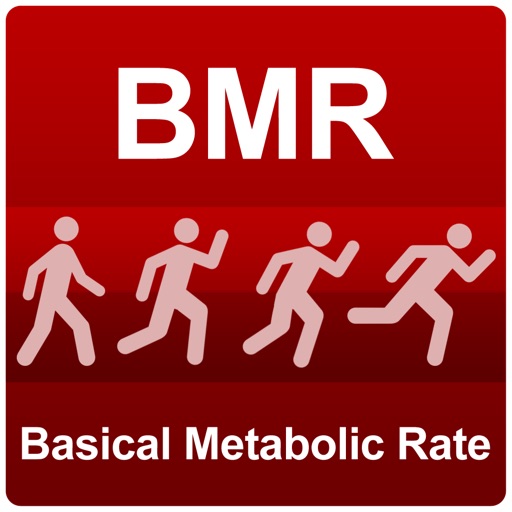 BMR-Lite icon