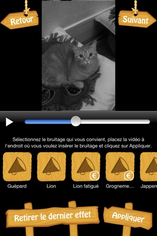 MyFélins - Montage vidéo et photo pour transformer votre chat en félin screenshot 3