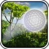 Forest Golf