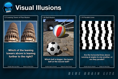 BlueBrain Lite screenshot 2