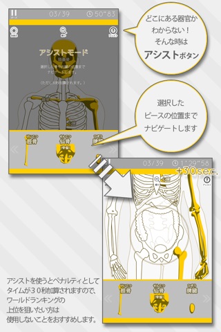 Enjoy Learning Anatomy puzzle screenshot 3