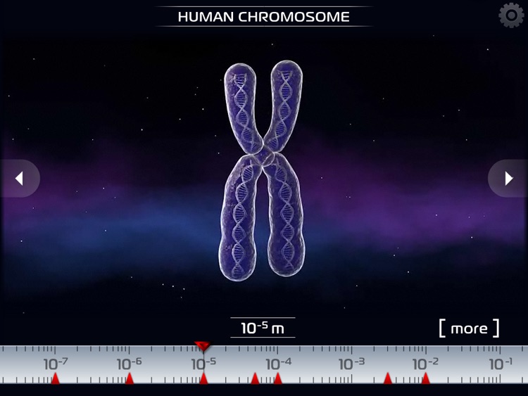 Science - Microcosm 3D HD : Bacteria, viruses, atoms, molecules and particles
