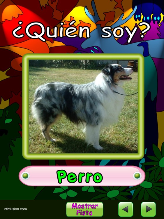 ¿Qui'en soy?  Un divertido juego con preguntas y respuestas con los animales del zoológico para niños de 3 a 10 años, para aprender conceptos importantes relacionados con habilidades de pensamiento asociativo,inferencia,evaluación y predicciones