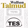 Wolfson Talmud - Eruvin