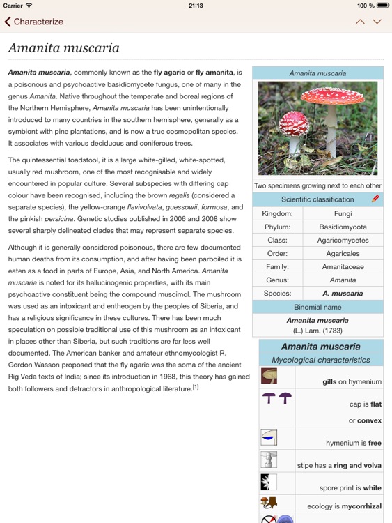 Fungi Kingdom