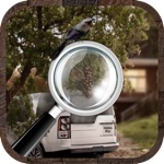 Hidden Objects???