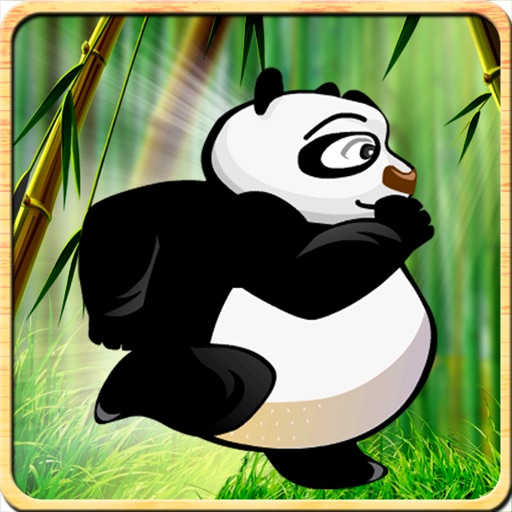 Run Panda Run:  Racing iOS App
