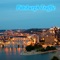 This applications brings easy access to the traffic web cams in Pittsburgh (district pendot11)