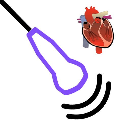 Echocardiography Pocket Reference by iSonographer