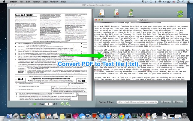 convert pdf page to image c