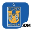 Fan Tigres SDM