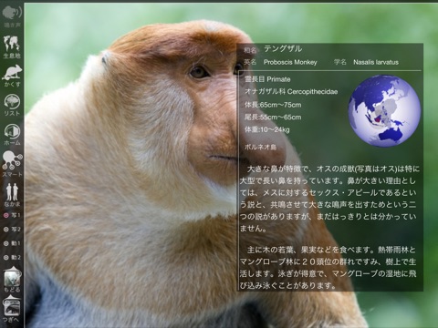 Animal Life for Japan screenshot 3