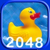 2048 Pool Ducky