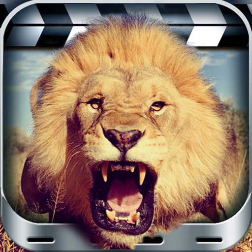 Beast MovieApp - Dangerest Animal Movie FX icon