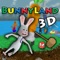 BunnyLand3D