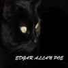El gato negro de Edgar Allan Poe. Fantástico audiolibro de terror