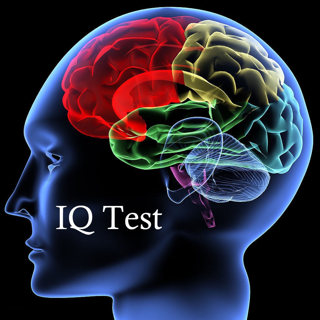European Standard IQ Test iOS App