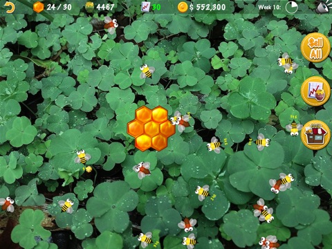 Bee Farming for iPad Lite screenshot 3