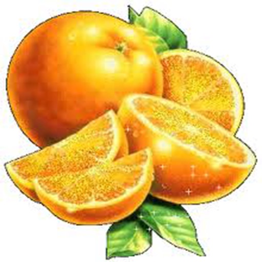 Fruits Santé icon