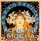 In this FULL VERSION, designed for iPhone and iPad, you will find over 100 images of the great drawings from Alphonse Mucha