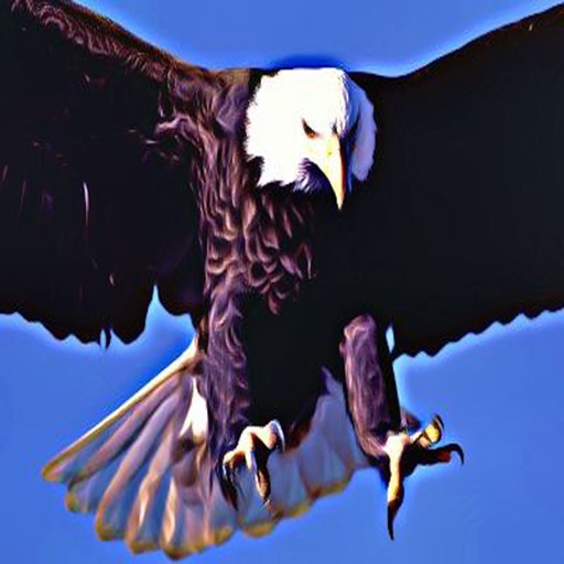 Bald Eagle 's - Bird Ringtones and Sound Effects, Alerts icon