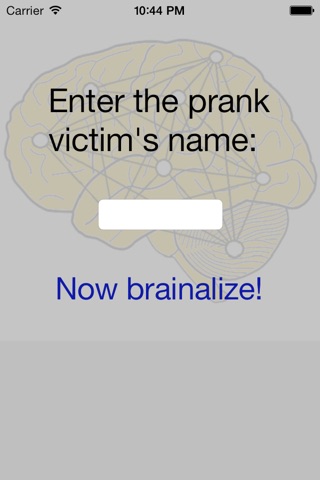 Brainalizer screenshot 2