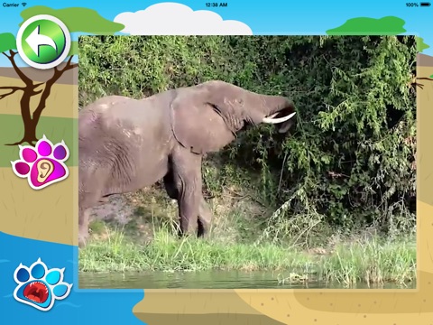 Animals world for kids screenshot 4