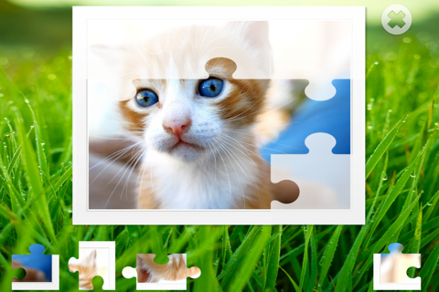 Cats puzzle - fun for kids screenshot 4