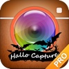 Hallo Capture Pro