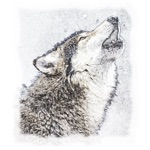Lockscreen Wallpapers  Painted Animals