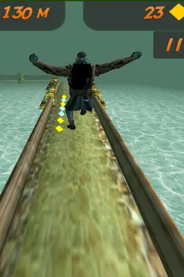 Game screenshot Rush Runner 3D Free hack