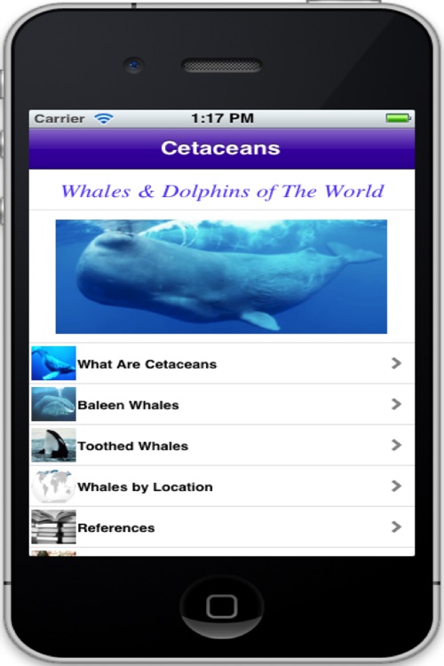 Cetaceans