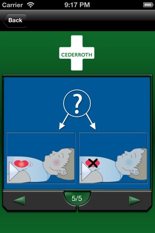 Cederroth First Aid screenshot 3